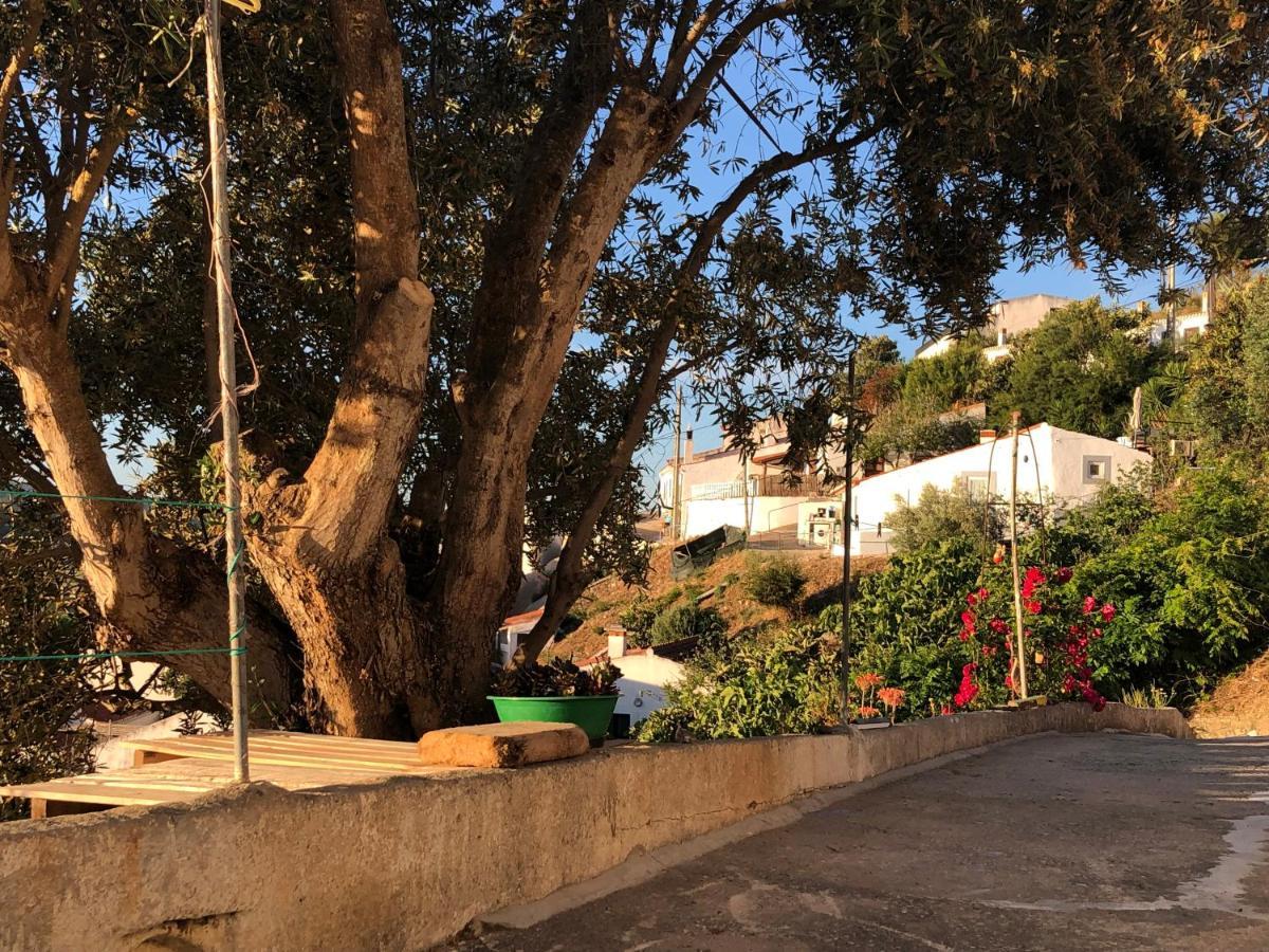 Casa Anneli - Relaxing Under The Olive Tree Villa Aljezur Bagian luar foto